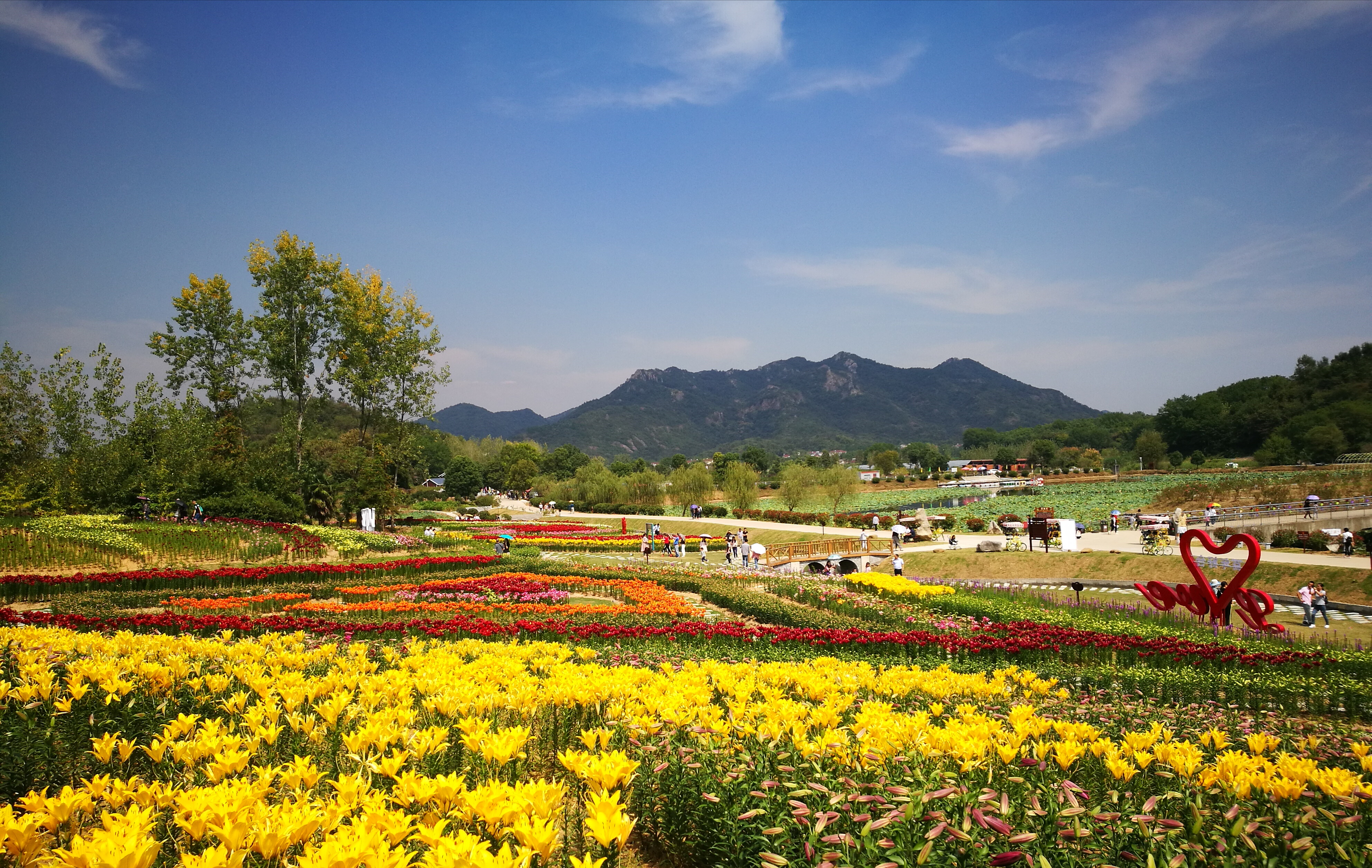 銅陵梧桐花(huā)谷景區(qū)